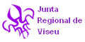 Junta Regional de Viseu